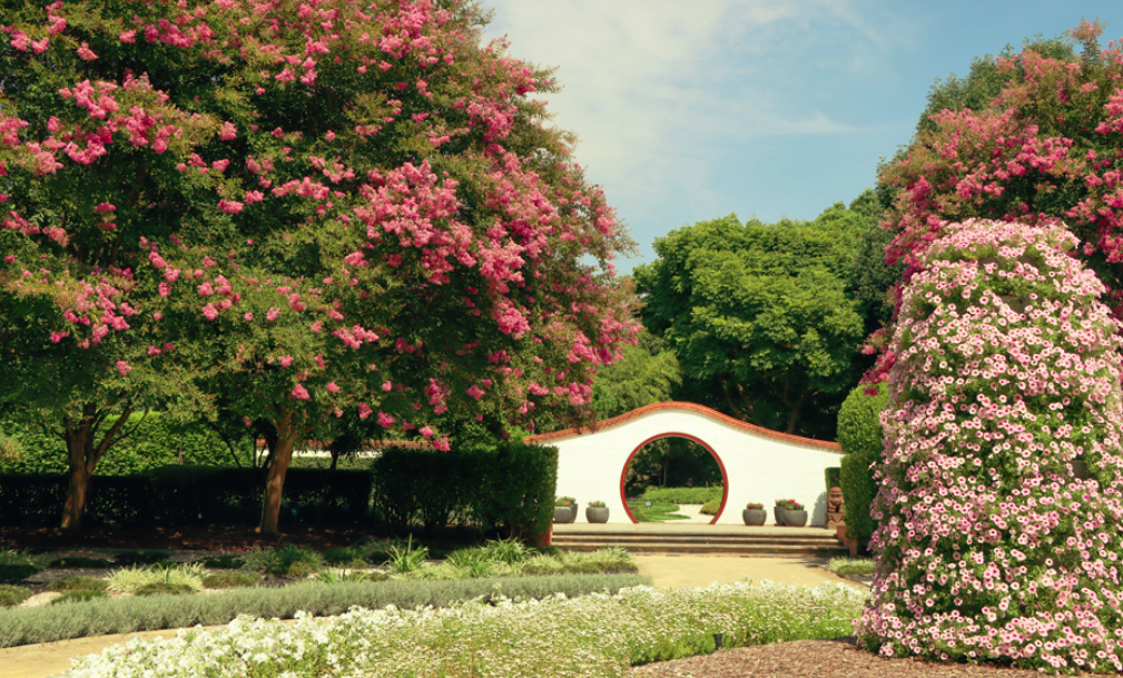 Hunter Valley Gardens is one of the best gardens in NSW.  