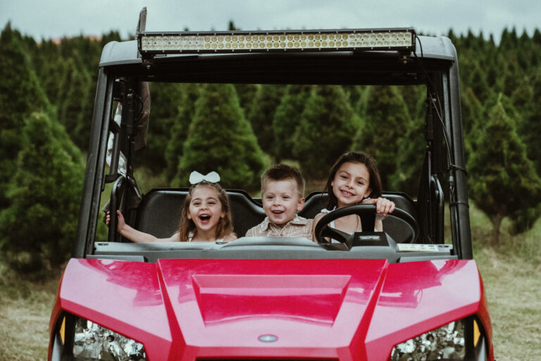 Luddenham Christmas Tree Farm