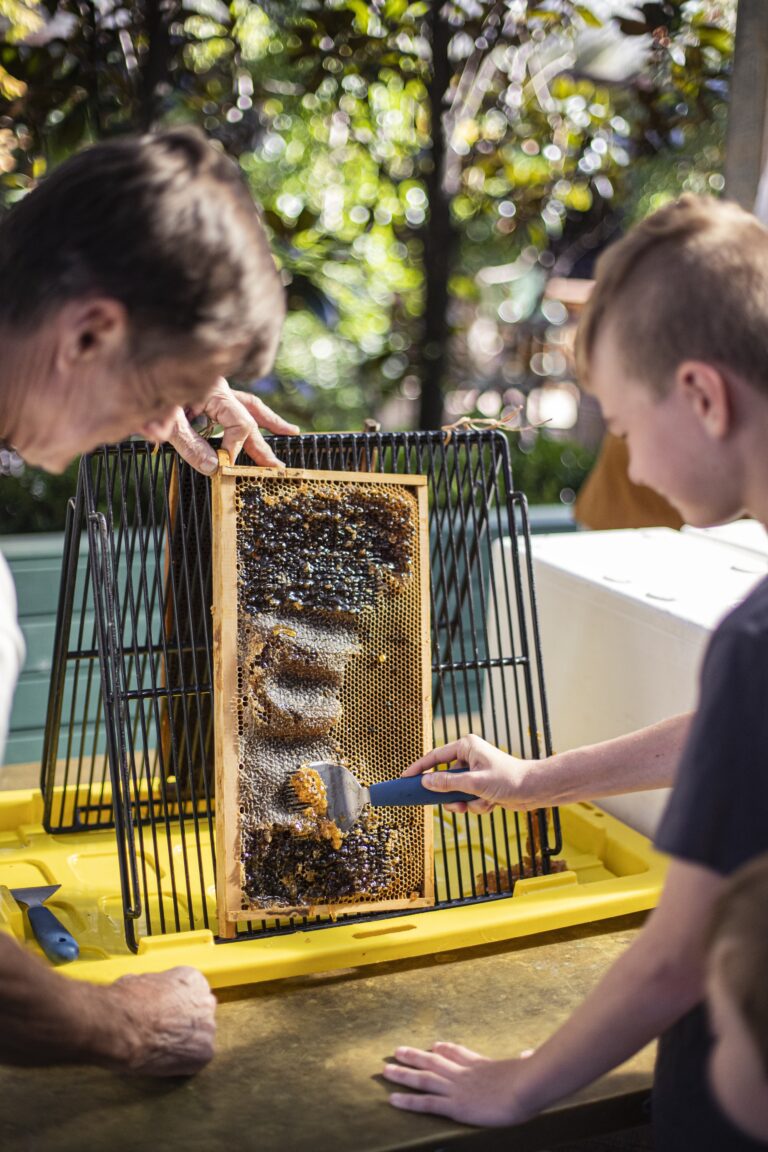 KIDS HONEY WORKSHOP