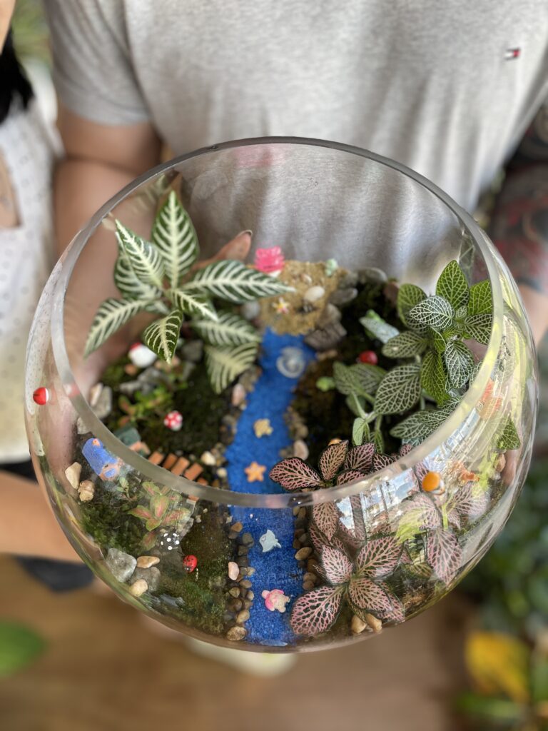 Kids Terrarium Workshop in Wentworthville