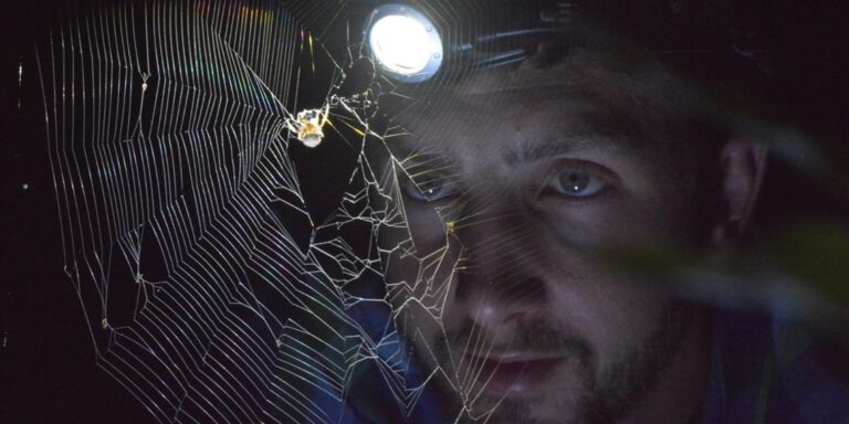 Halloween Events in Western Sydney