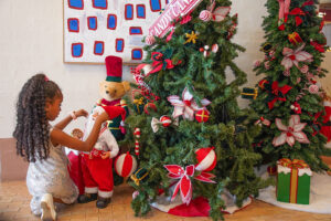 Christmas Events in Western Sydney